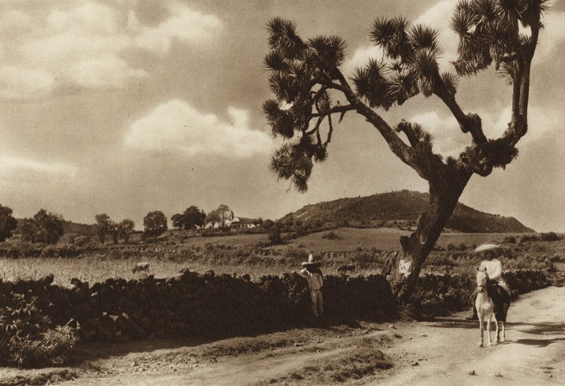 Mexiko: Patzcuaro, El Calvario, delstaten Michoacan (svartvitt foto) av Hugo Brehme