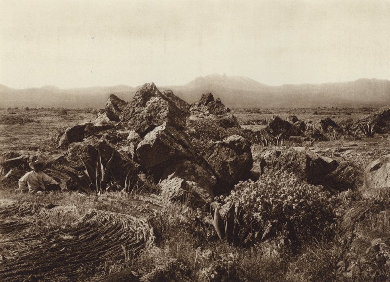 Mexiko: Pedregal, Corriente de basalto-lava nära San Angel (svartvitt foto) av Hugo Brehme