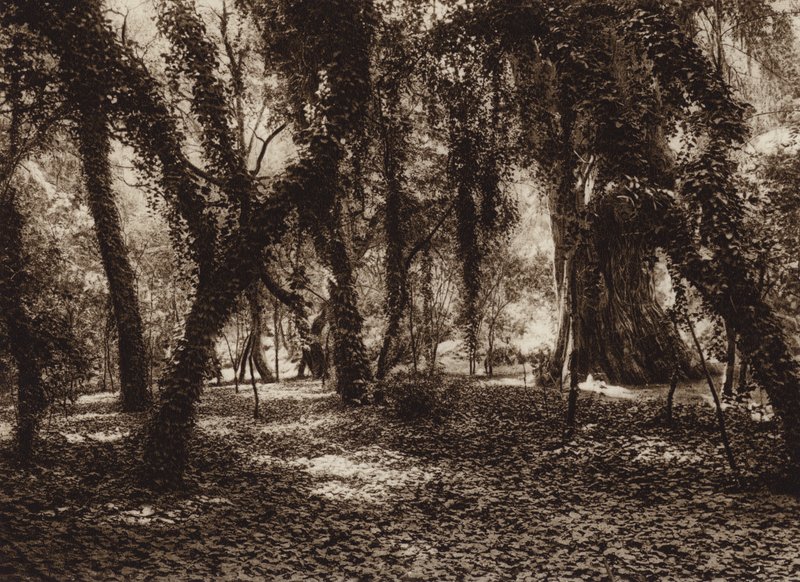 Mexiko: Idyllisk plats i parken Chapultepec (svartvitt foto) av Hugo Brehme