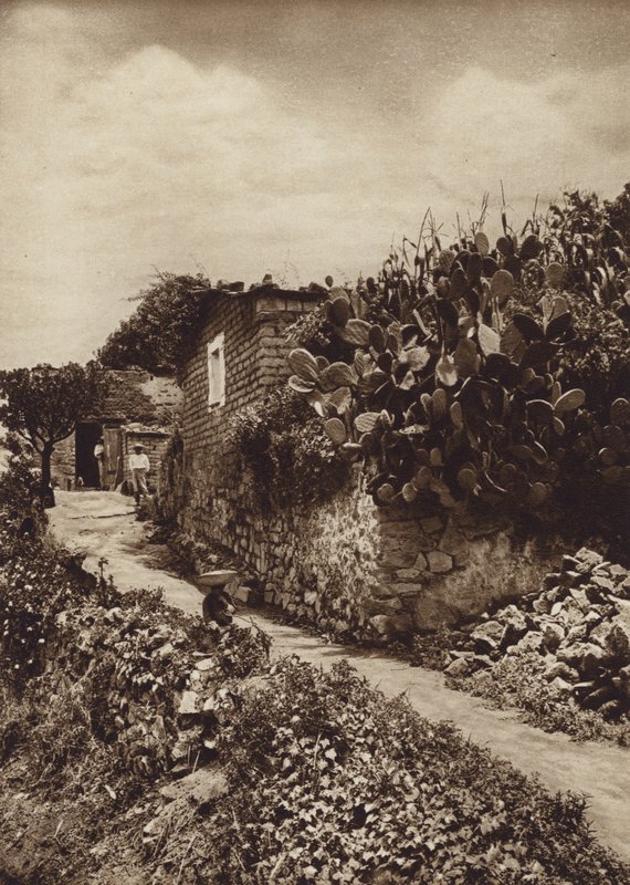 Mexiko: Pittoreskt hörn i San Angel D F (svartvitt foto) av Hugo Brehme