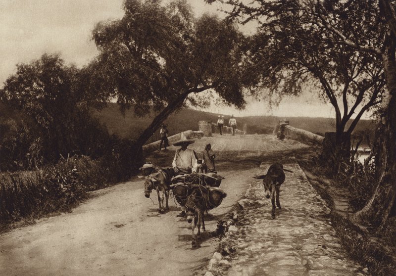 Mexiko: En väg i bergen i Mexiko (svartvitt foto) av Hugo Brehme