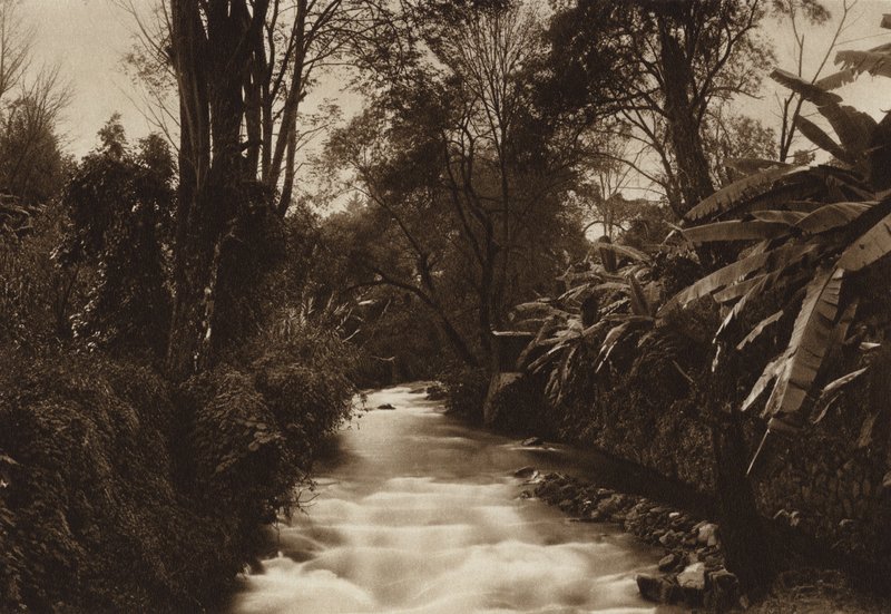 Mexiko: Uruapam (svartvitt foto) av Hugo Brehme