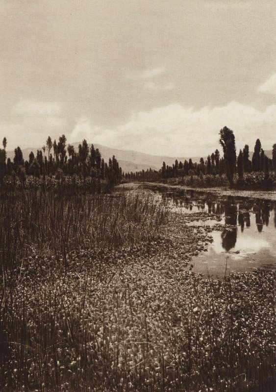 Mexiko: Xochimilco, En av huvudkanalerna (svartvitt foto) av Hugo Brehme