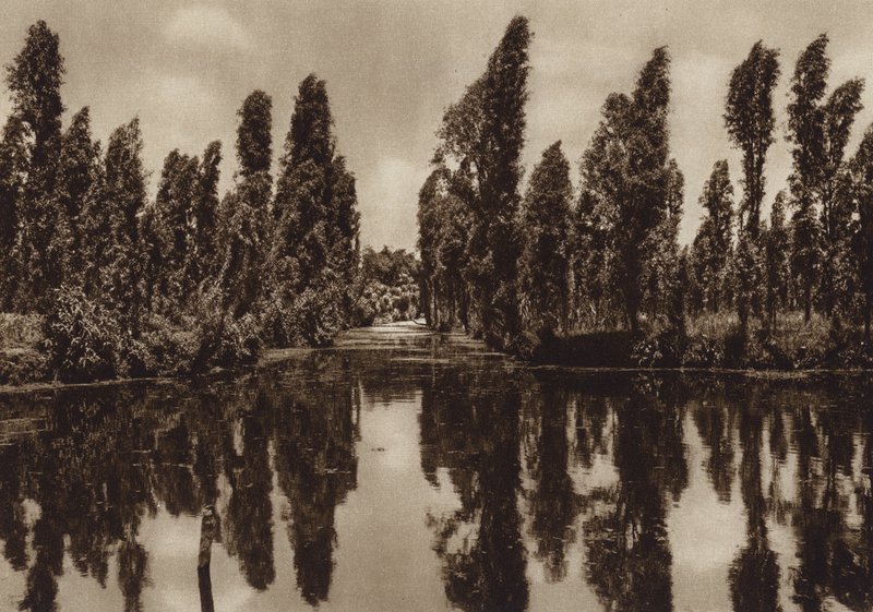 Mexiko: Xochimilco med de s.k. "flytande trädgårdarna" (svartvitt foto) av Hugo Brehme