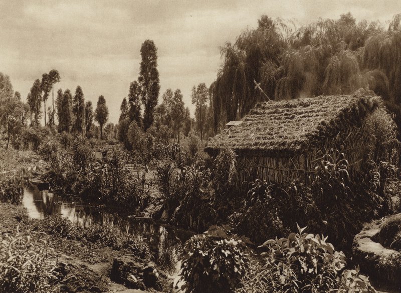 Mexiko: Xochimilco med de s.k. "flytande trädgårdarna" (svartvitt foto) av Hugo Brehme