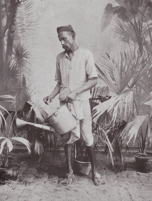 Bombay / Mumbai: Trädgårdsmästare (svartvitt foto) av Indian photographer