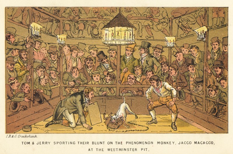 Tom och Jerry spelar sin trubbiga på fenomenet Monkey, Jacco Macacco, vid Westminster Pit av Isaac, Robert and George Cruikshank