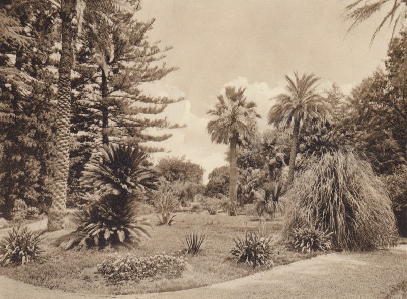 Sicilien / Sicilien: Villa Tasca, Palermo (svartvitt foto) av Italian Photographer