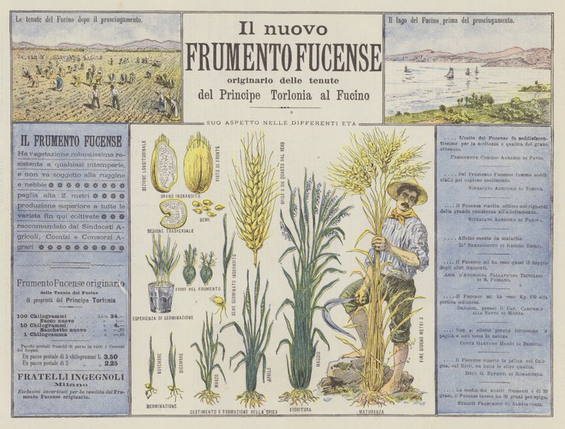 Det nya Fucense-vetet (färg litho) av Italian School