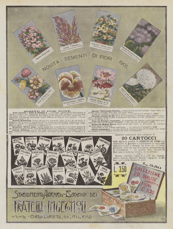 Ingegnoli Brothers (färglitografi) av Italian School