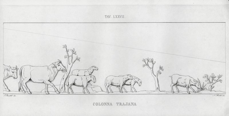 Trajanus kolumn, Trajanus kolumn (gravyr) av Italian School