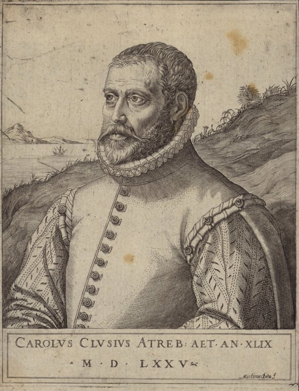 Porträtt av Carolus Clusius av Italian School