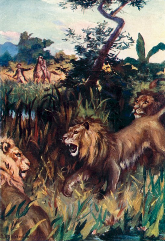 Mungo Park, O se tulaga lamatia faifai pea av J. Williamson