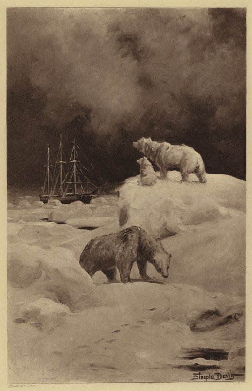 Peary i de arktiska regionerna (litho) av J. (after) Steeple Davis