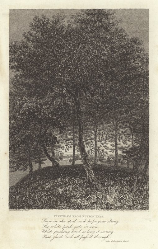 Robert Bloomfield, poet: Fakenham från Euston Park (gravyr) av J. Greig