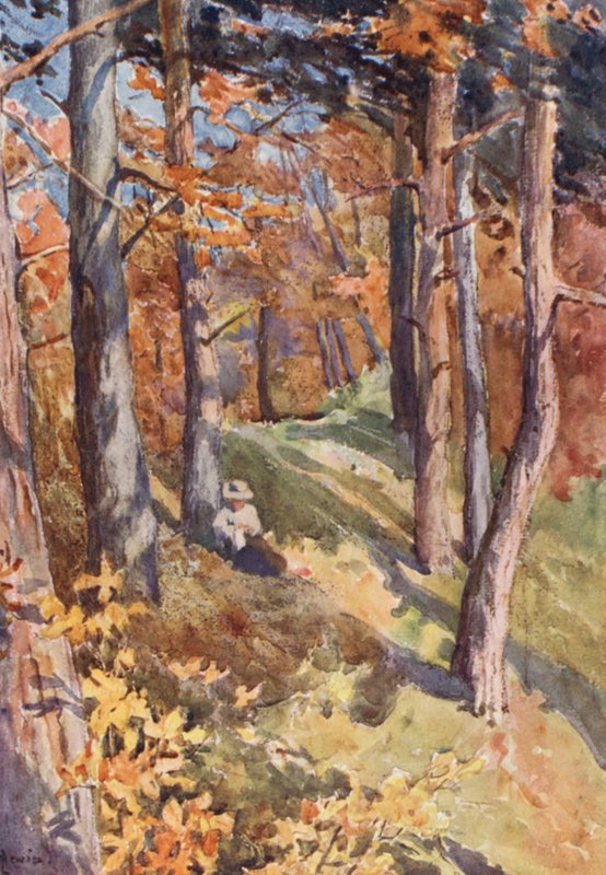 I Sauvabelin-skogen, ovanför Lausanne (färglitografi) av J. Hardwicke Lewis
