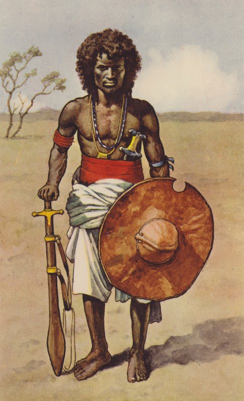 Fuzzy Wuzzy (lito i färg) av J. Macfarlane
