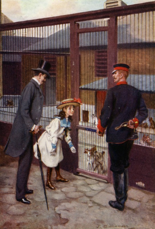 Ethel hittar Scamp (färg litho) av J. Williamson