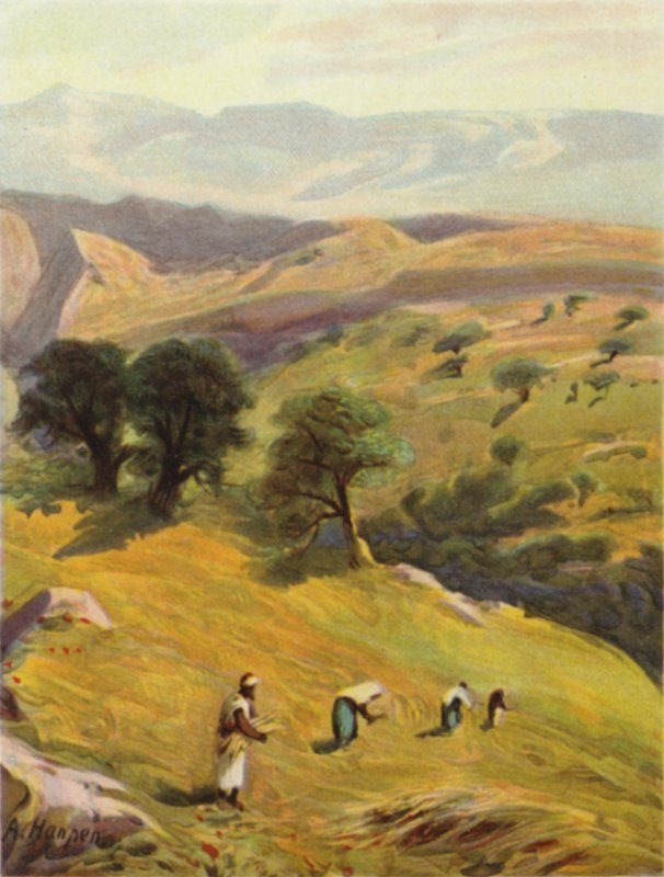 Mellan Jerusalem och Jeriko (färg litho) av James (after) Clark