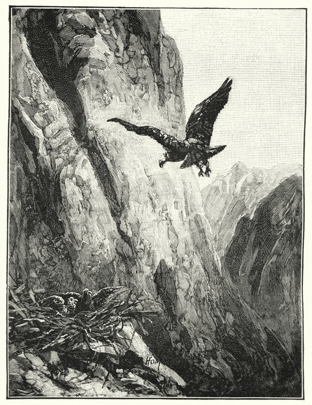 Ørnerede i Sinai-bjerget (litho) sved av James (after) Clark