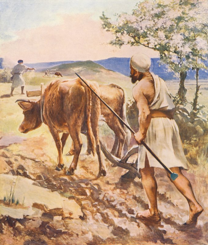 Det heliga landet: Plöjning nära Nazareth (färglitografi) av James (after) Clark