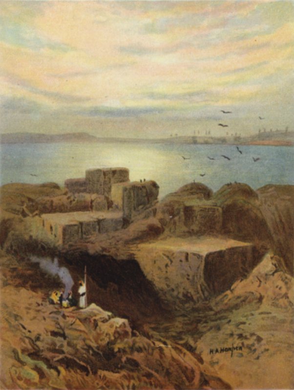 Ruiner av Babylon och hängande trädgårdar (färg litho) av James (after) Clark