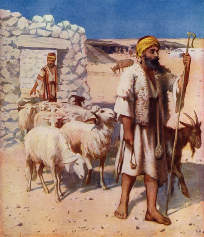 Herde och fårfålla av James Clark
