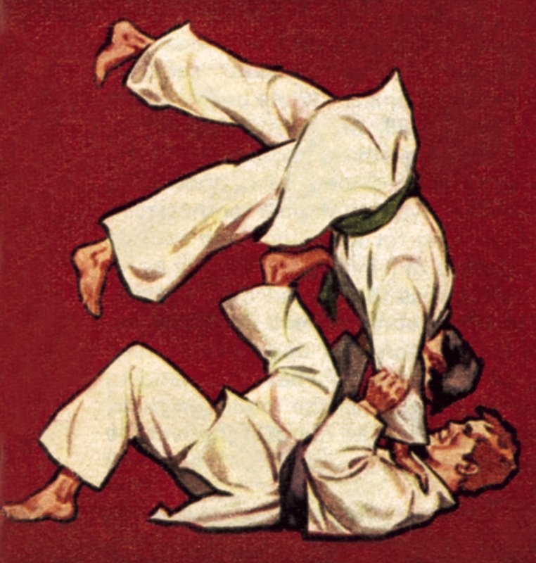 Judo av James Edwin McConnell