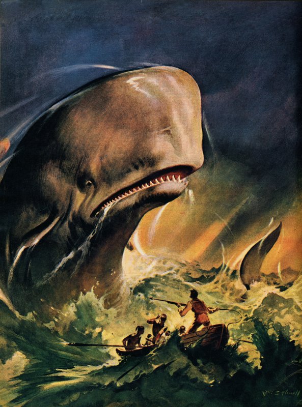 Moby Dick (litografi i färg) av James Edwin McConnell