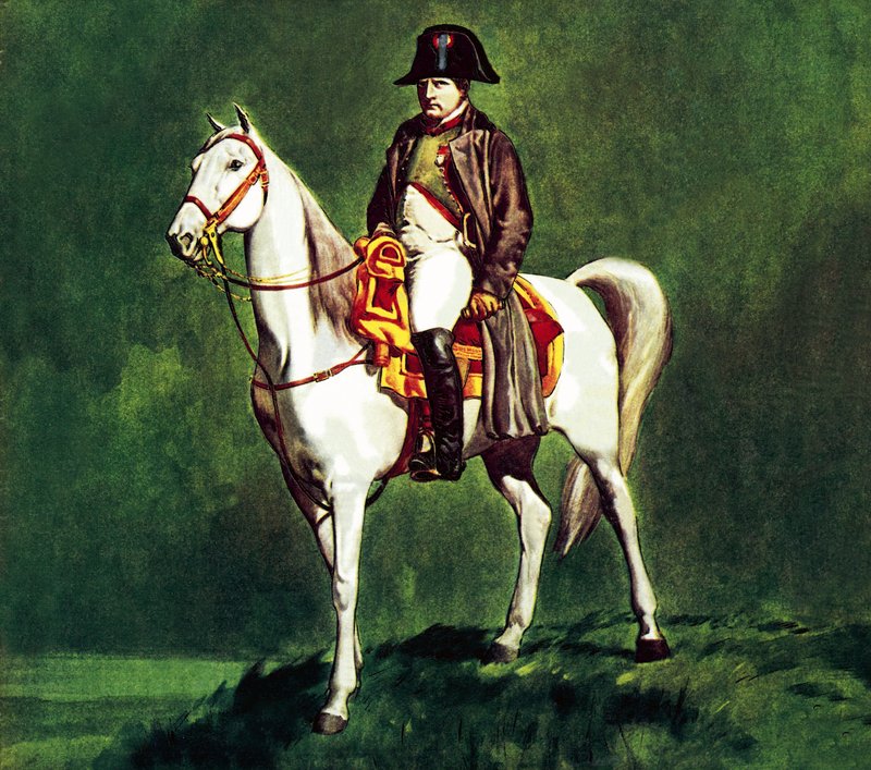 Napoleon på sin favoritladdare, "Marengo av James Edwin McConnell