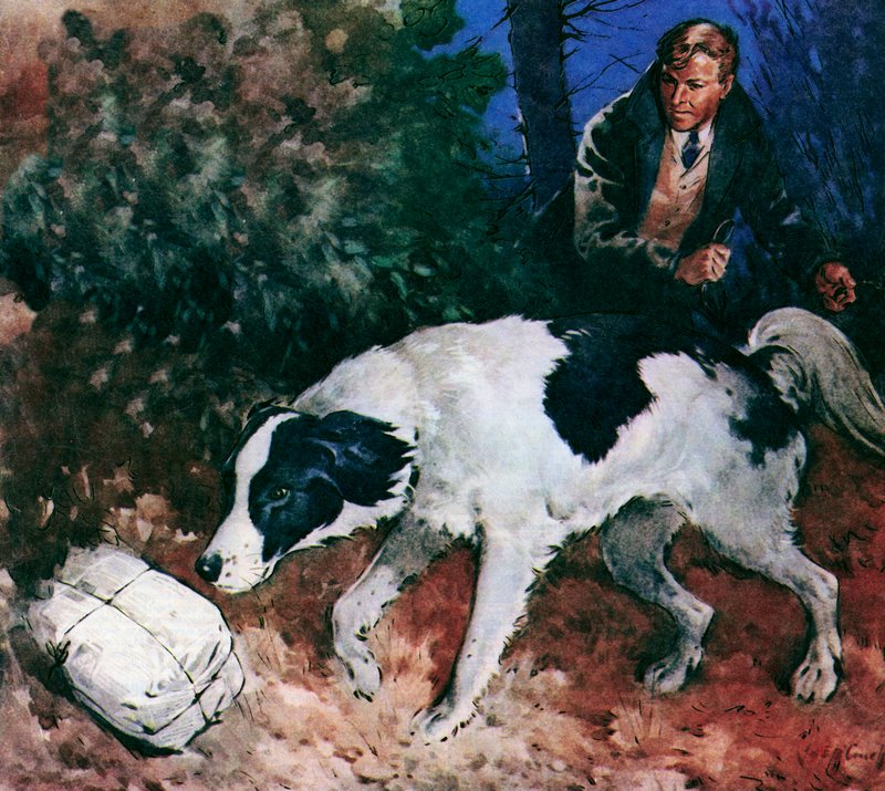 Pickles, VM-hunden (färglitografi) av James Edwin McConnell