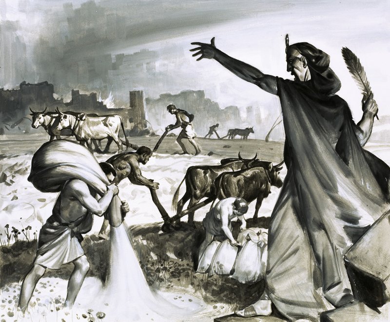 Karthagos uppgång och fall: Den romerska förbannelsen över Karthago av James Edwin McConnell