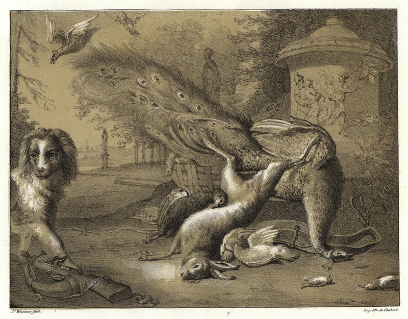Stilleben med en påfågel och en hund av Jan Baptist Weenix