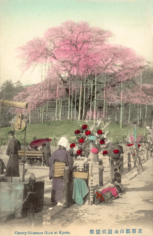 Cherry Blossoms, Gion, Kyoto, Japan av Japanese Photographer
