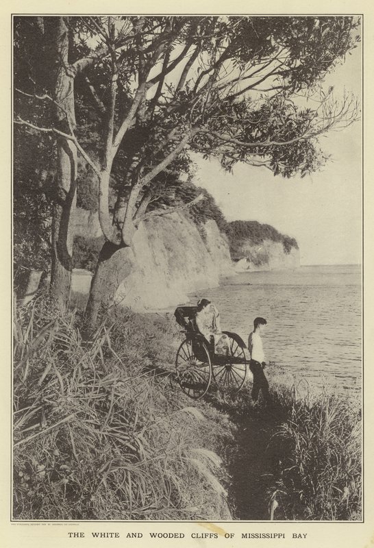 De vita och trädbevuxna klipporna i Mississippi Bay av Japanese Photographer