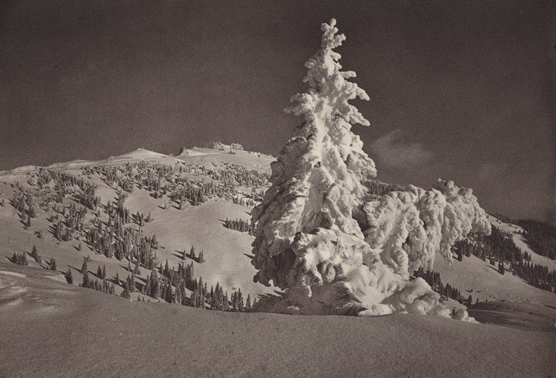 Rigi Kaltbad, Skigelande och Rigi Kulm (s/v foto) av Jean Gaberell