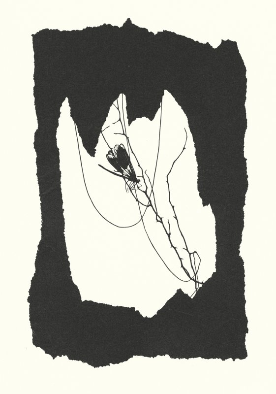 Johanna Beckmann silhuett (litografi) av Johanna Beckmann