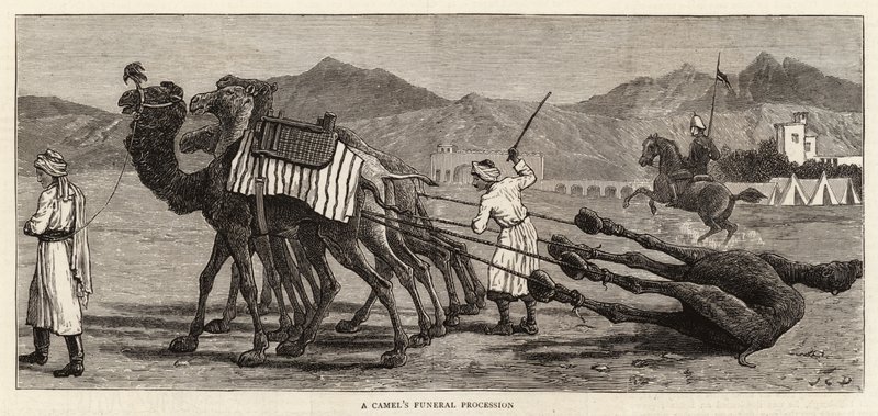 En kamels begravningsprocession av John Charles Dollman
