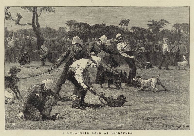 Ett menagerilopp i Singapore av John Charles Dollman
