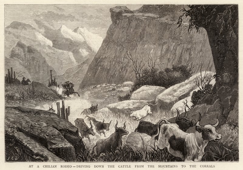 Vid en chilensk Rodeo, köra ner boskapen från bergen till Corrals av John Charles Dollman