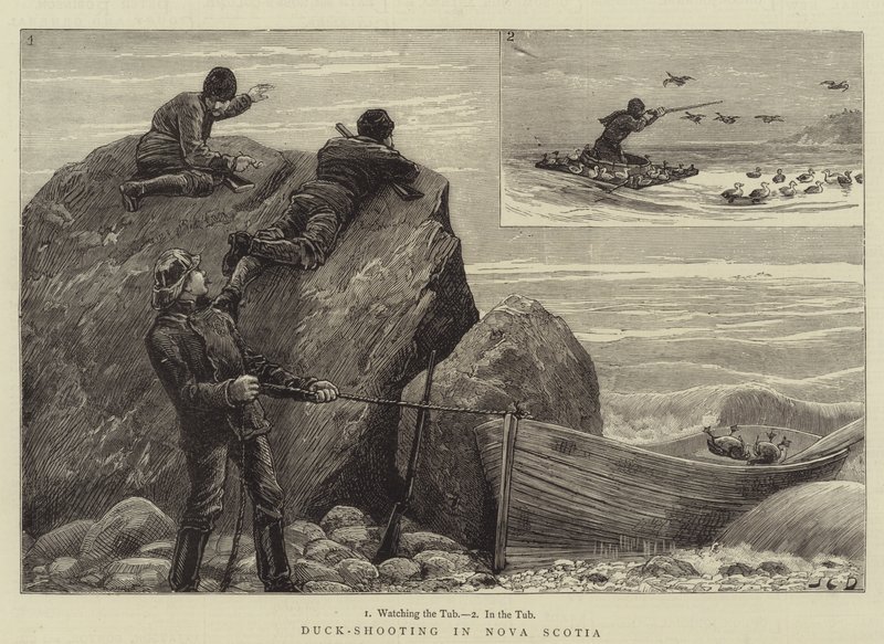 Ankskytte i Nova Scotia av John Charles Dollman