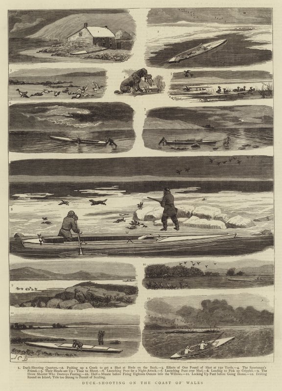 Ankskytte på Wales kust av John Charles Dollman