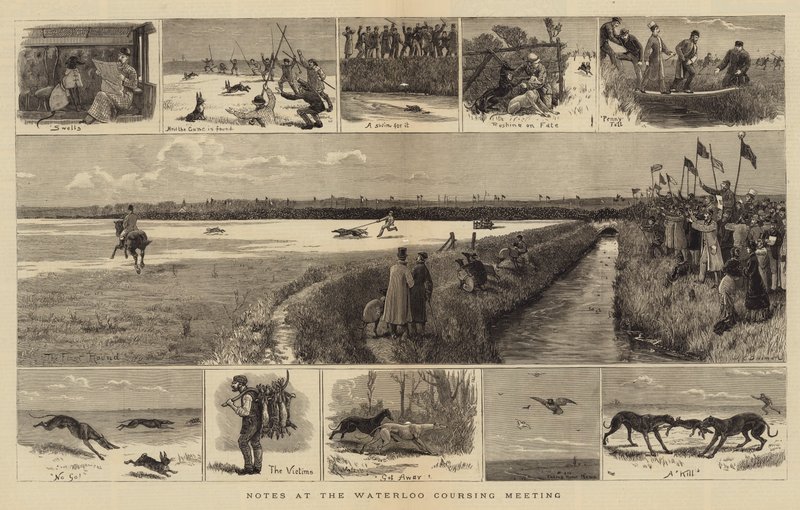 Anteckningar vid Waterloo Coursing Meeting av John Charles Dollman
