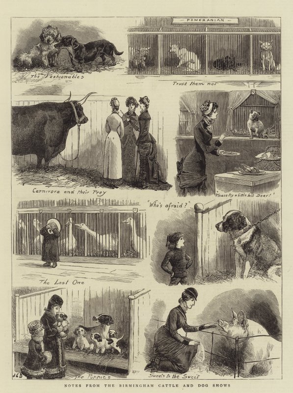 Anteckningar från Birmingham Cattle and Dog Shows av John Charles Dollman
