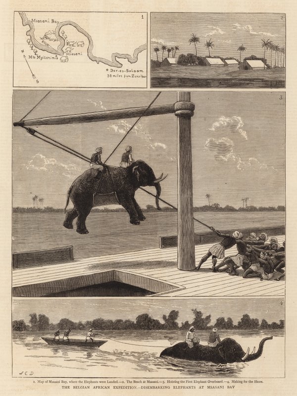 Den belgiska afrikanska expeditionen, som tar av elefanterna vid Msasani Bay. av John Charles Dollman