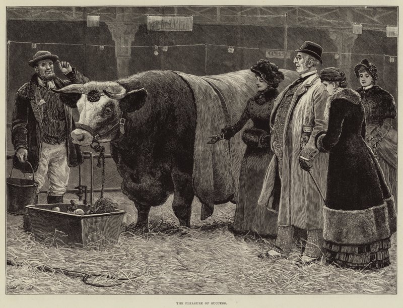 Nöjet av framgång av John Charles Dollman