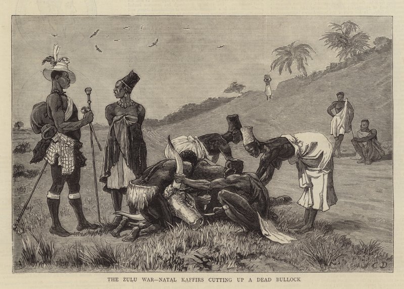 Zulukriget, Natal Kaffirer som skär upp en död oxe av John Charles Dollman