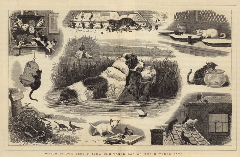 Vilket är vår bästa vän, den beskattade hunden eller den obeskattade katten av John Charles Dollman
