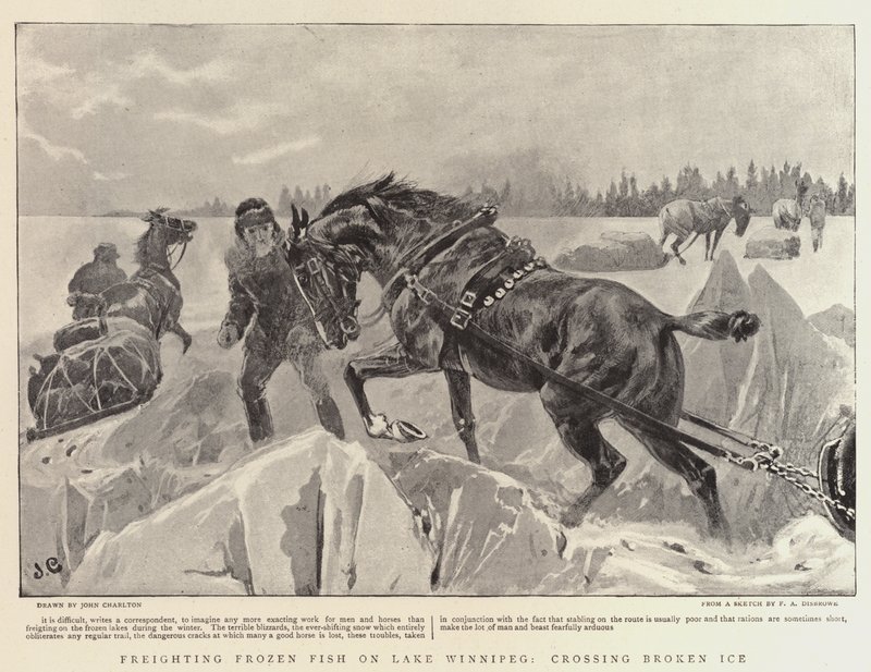 Fraktar fryst fisk på Lake Winnipeg, korsar Broken Ice av John Charlton