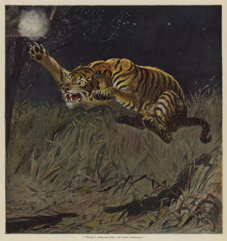 Illustration för A Free will Offering, av B M Corker av John Charlton